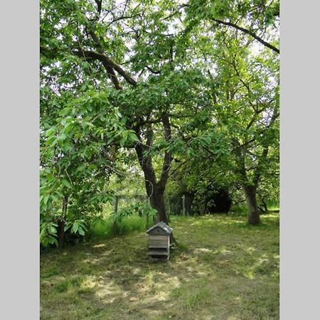 Miller'S Farm. Cottage On The Auhtie For 2 Hem-Hardinval Bagian luar foto