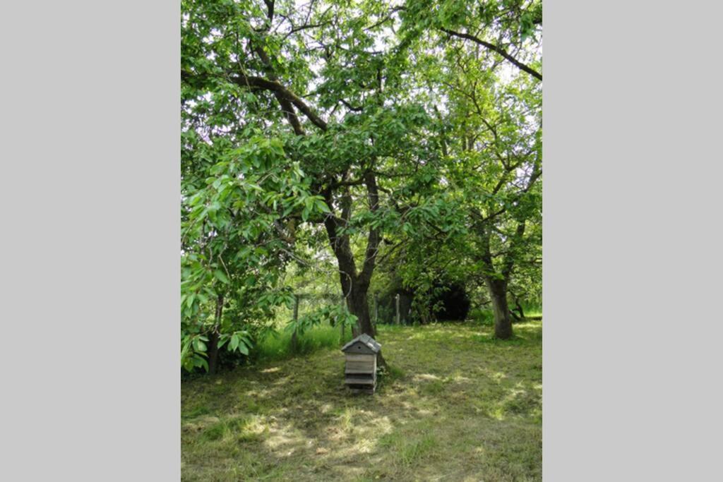Miller'S Farm. Cottage On The Auhtie For 2 Hem-Hardinval Bagian luar foto